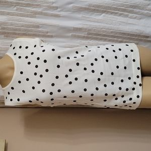 Gap Cream and Brown Polka Dot Cardigan Set! NWT